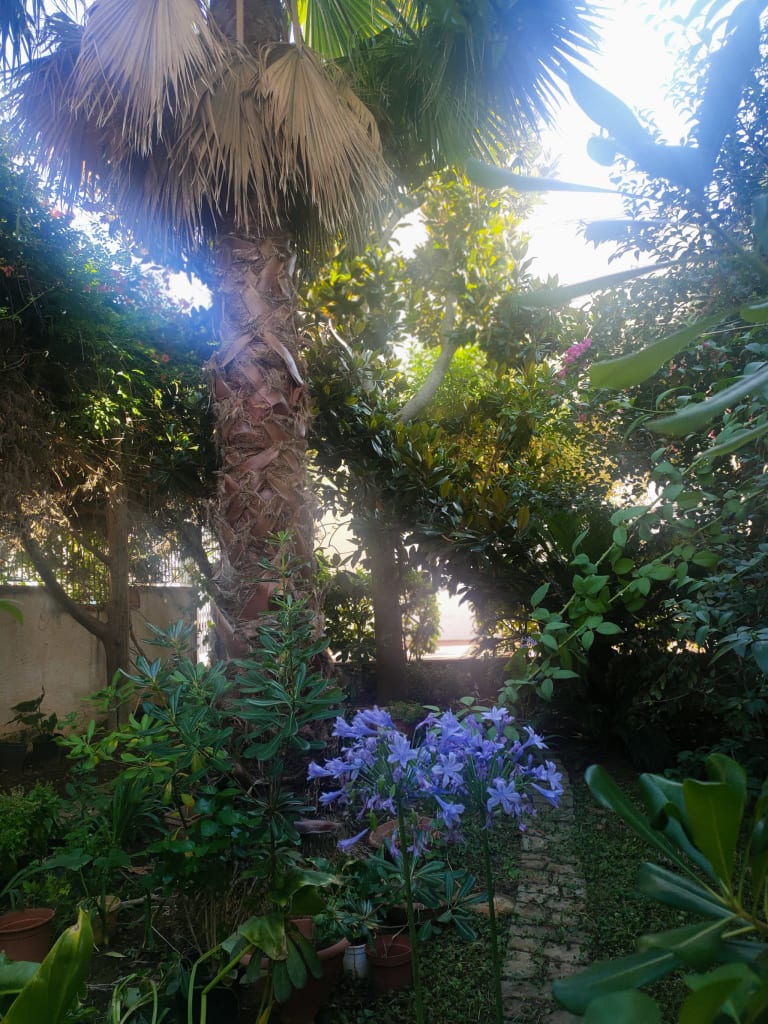 B&B La Magnolia