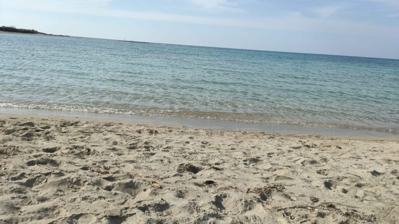 Torre Guaceto