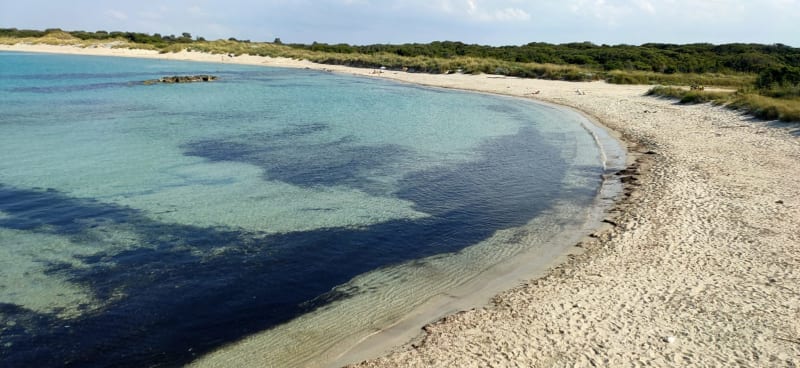 Torre Guaceto